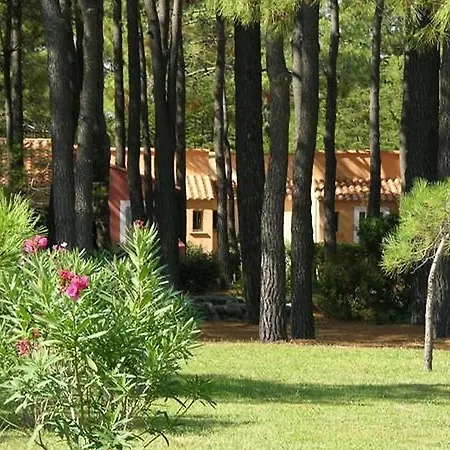 Holiday Borgo Studio 2 Pers Borgo (Corsica)